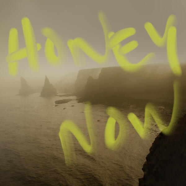 Neon Waltz Honey Now Co Prod / Engineer
